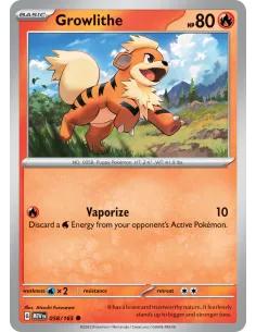 Growlithe - Reverse Holo