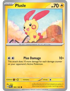 Plusle - Reverse Holo