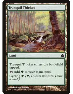 Tranquil Thicket
