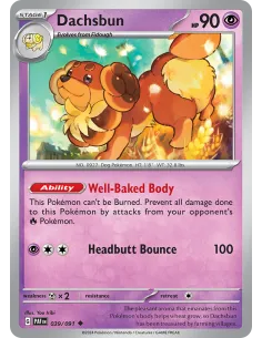 Dachsbun - Reverse Holo