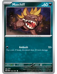 Maschiff - Reverse Holo