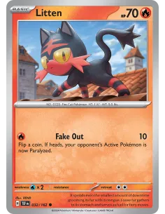 Litten - Reverse Holo