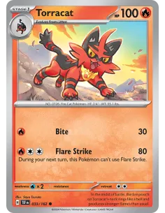 Torracat - Reverse Holo