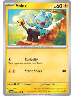 Shinx - Reverse Holo
