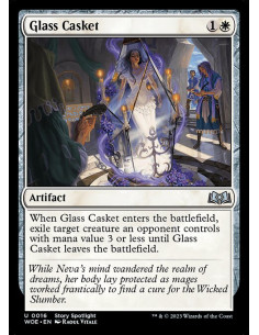 Glass Casket