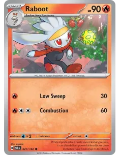 Raboot - Reverse Holo