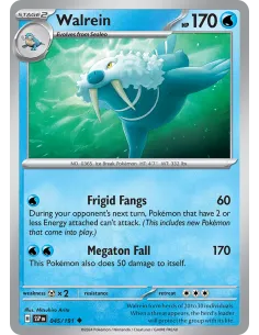 Walrein - Reverse Holo