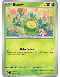 Budew - Reverse Holo