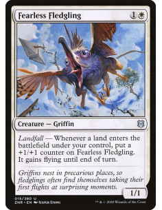Fearless Fledgling
