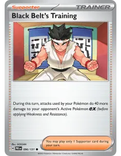 Black Belt's Training - Reverse Holo