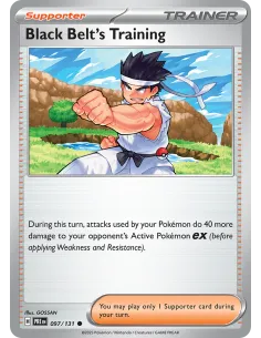 Black Belt's Training - Reverse Holo