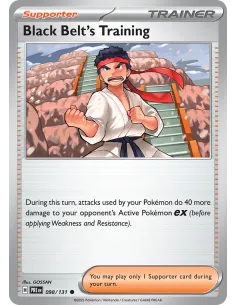 Black Belt's Training - Reverse Holo