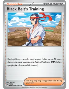 Black Belt's Training - Reverse Holo