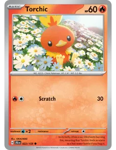 Torchic - Reverse Holo