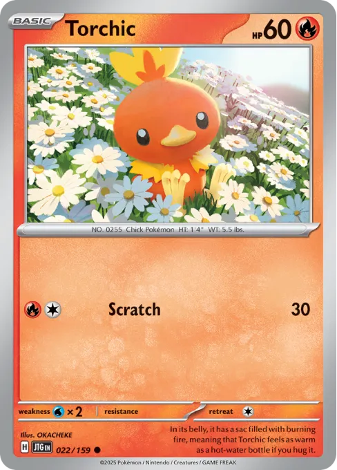Torchic - Reverse Holo