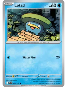 Lotad - Reverse Holo