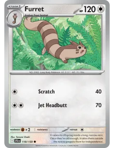 Furret - Reverse Holo
