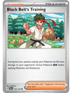 Black Belt's Training - Reverse Holo