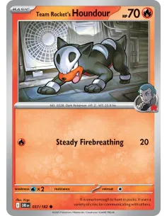 Team Rocket's Houndour - Reverse Holo