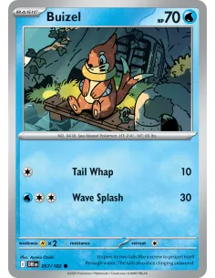 Buizel - Reverse Holo