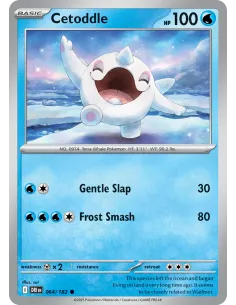 Cetoddle - Reverse Holo