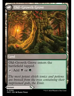 Revitalizing Repast // Old-Growth Grove 2