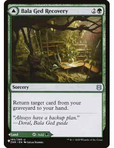 Bala Ged Recovery // Bala Ged Sanctuary