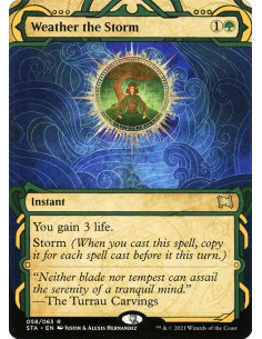 Weather the Storm - Foil