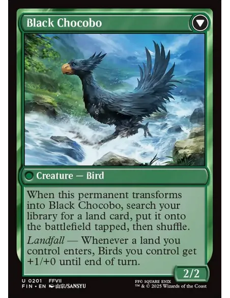 Sidequest: Raise a Chocobo // Black Chocobo