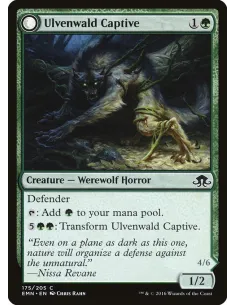 Ulvenwald Captive // Ulvenwald Abomination