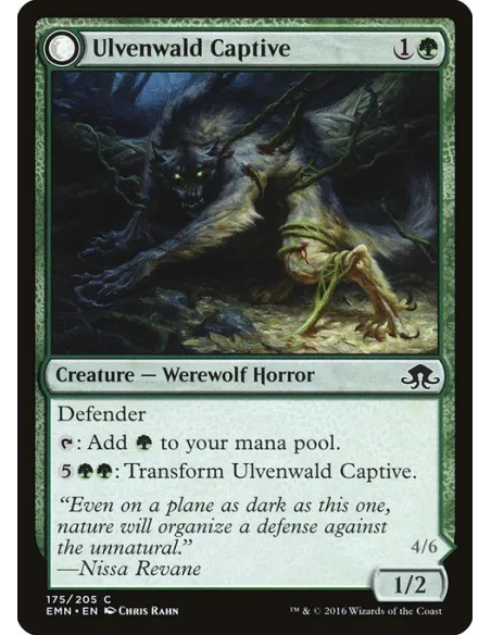 Ulvenwald Captive // Ulvenwald Abomination - Foil
