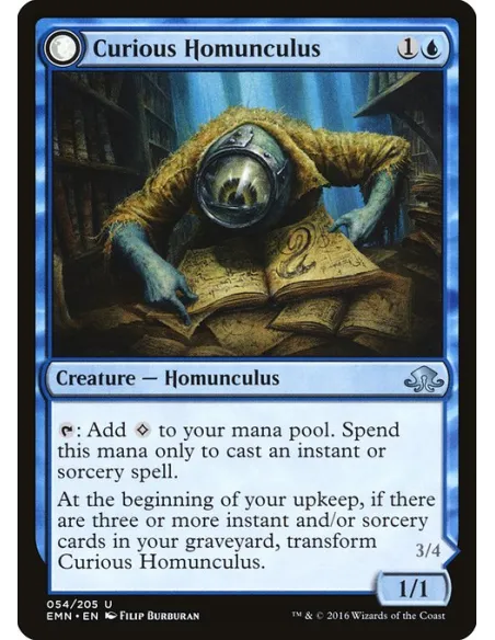 Curious Homunculus // Voracious Reader