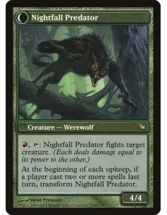 Daybreak Ranger // Nightfall Predator - Foil 2