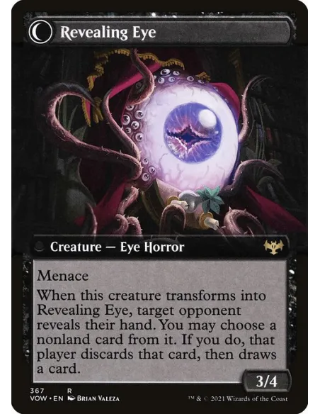 Concealing Curtains // Revealing Eye