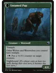 Hound Tamer // Untamed Pup - Foil 2