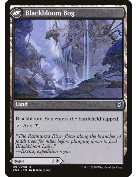 Blackbloom Rogue // Blackbloom Bog
