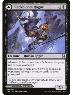 Blackbloom Rogue // Blackbloom Bog - Foil