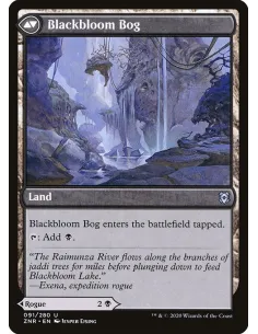 Blackbloom Rogue // Blackbloom Bog - Foil 2