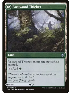 Vastwood Fortification // Vastwood Thicket - Foil 2
