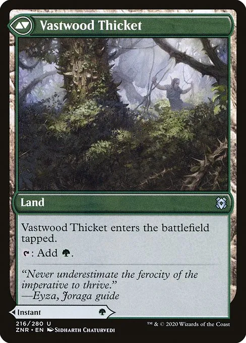 Vastwood Fortification // Vastwood Thicket - Foil