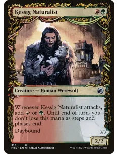 Kessig Naturalist // Lord of the Ulvenwald - Foil