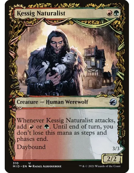 Kessig Naturalist // Lord of the Ulvenwald - Foil