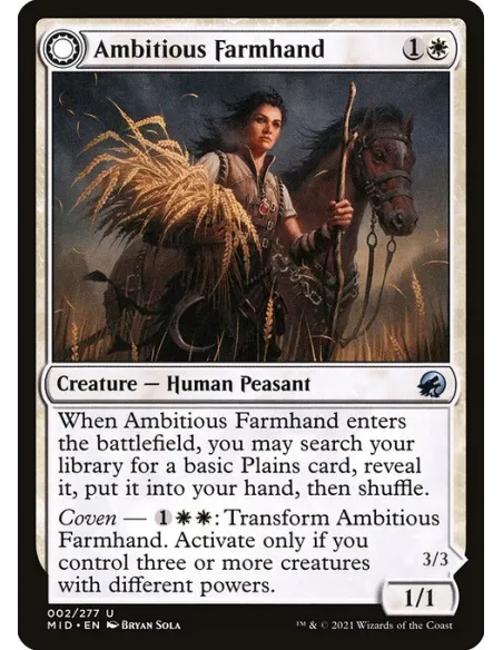 Ambitious Farmhand // Seasoned Cathar