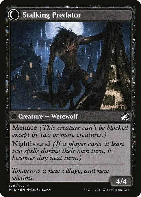 Shady Traveler // Stalking Predator - Foil