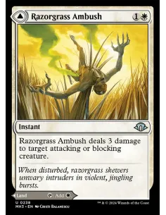 Razorgrass Ambush // Razorgrass Field - Foil