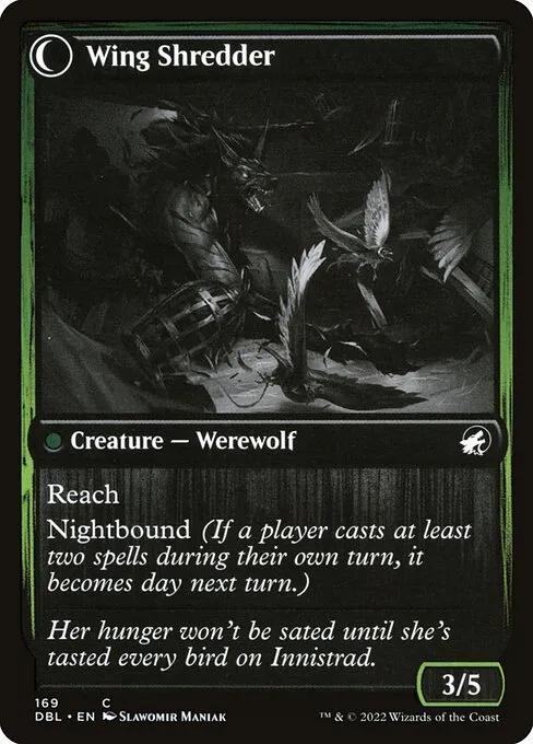 Bird Admirer // Wing Shredder - Foil