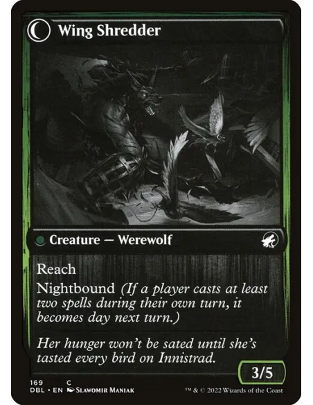 Bird Admirer // Wing Shredder - Foil