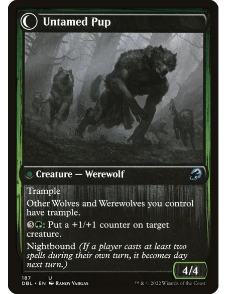 Hound Tamer // Untamed Pup