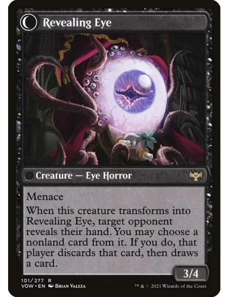 Concealing Curtains // Revealing Eye