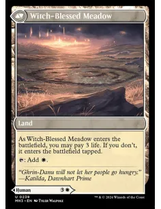 Witch Enchanter // Witch-Blessed Meadow 2